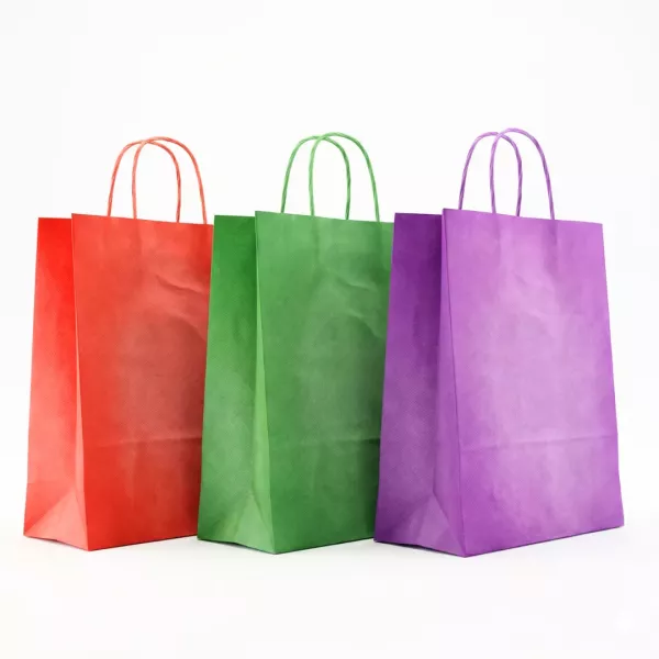 Bolsas de Papel con Manija